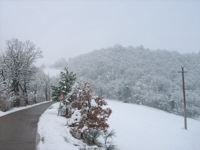 nevicatadel05marzo200812.jpg