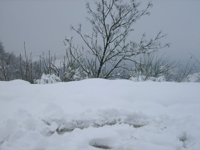 nevicatadel05marzo200816.jpg