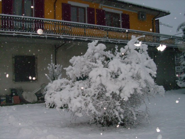 nevicata14dicembre20092.jpg