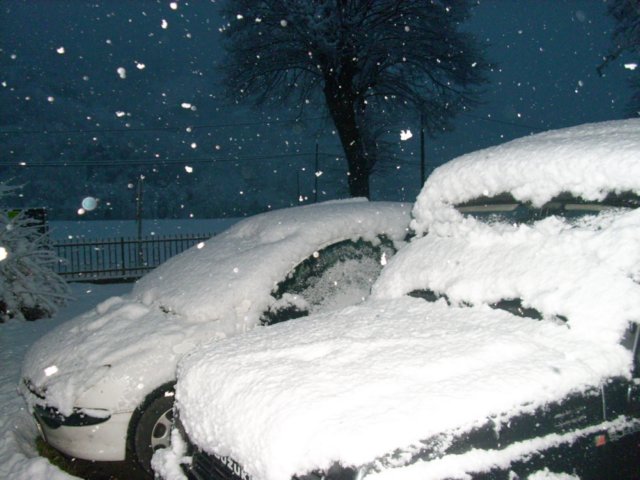 nevicata14dicembre20093.jpg