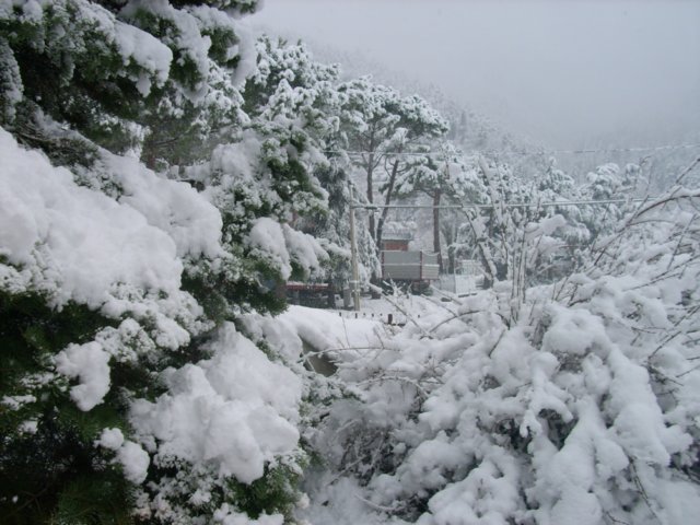 nevicata14dicembre20096.jpg