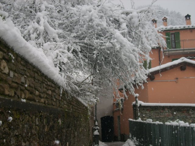 nevicata14dicembre20098.jpg