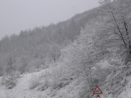 foto nevicate del 20-21 marzo 2007